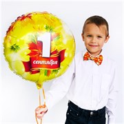 1 СЕНТЯБРЯ Листья кленовые, круг 45см 1202-2529